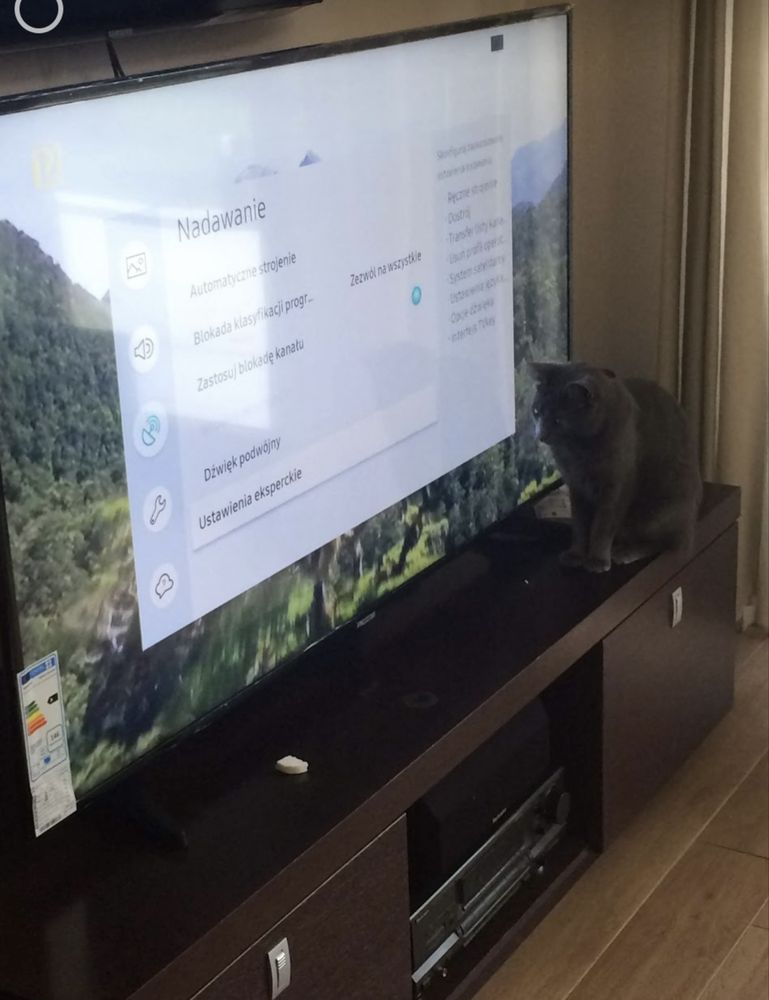 Szafka pod telewizor Bydgoska febryka mebli solidna dornir