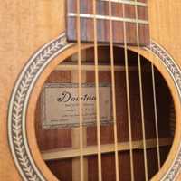 Gitara Dowina D555