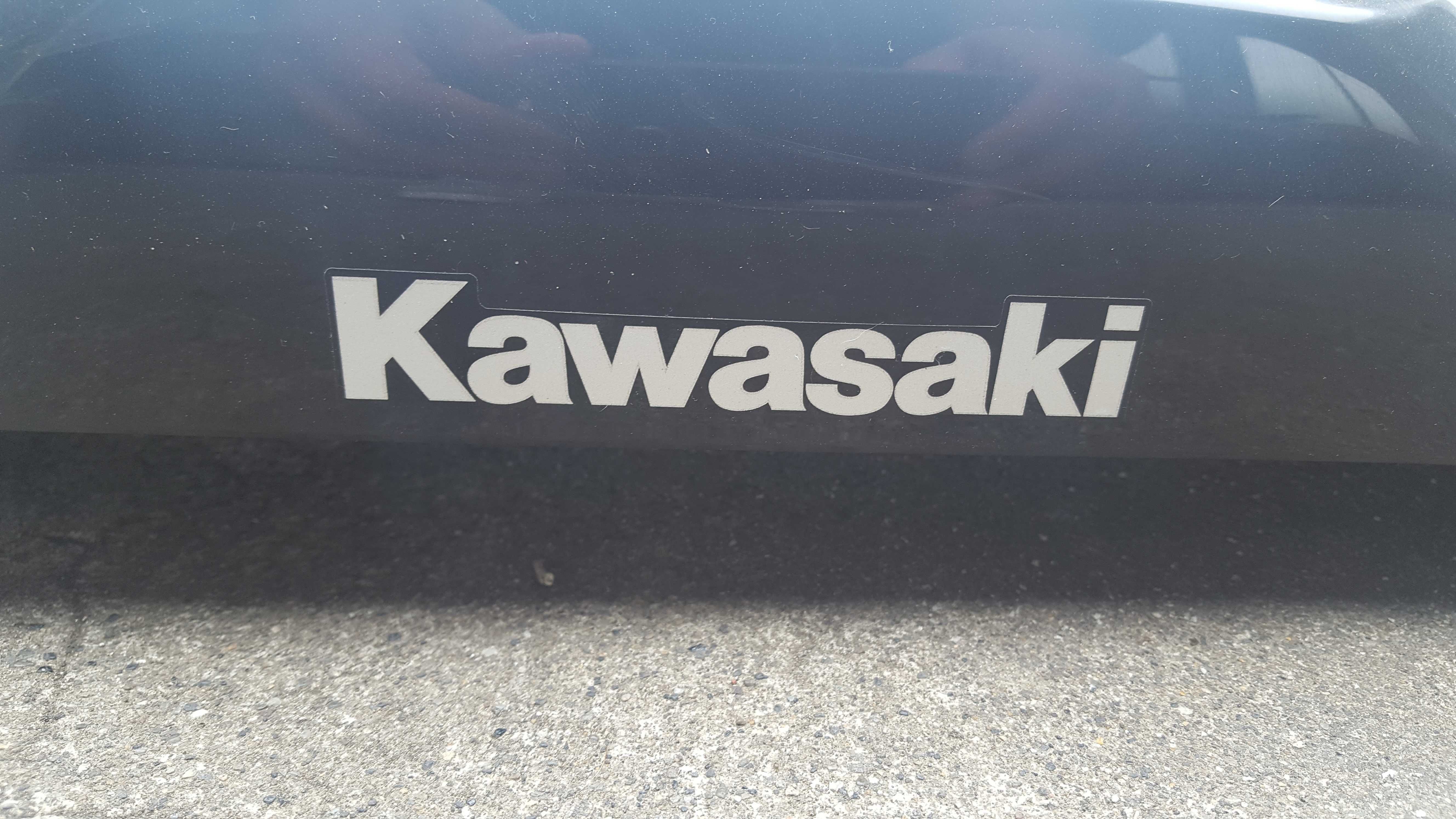 Carnagens Kawasaki BruteForce 300
