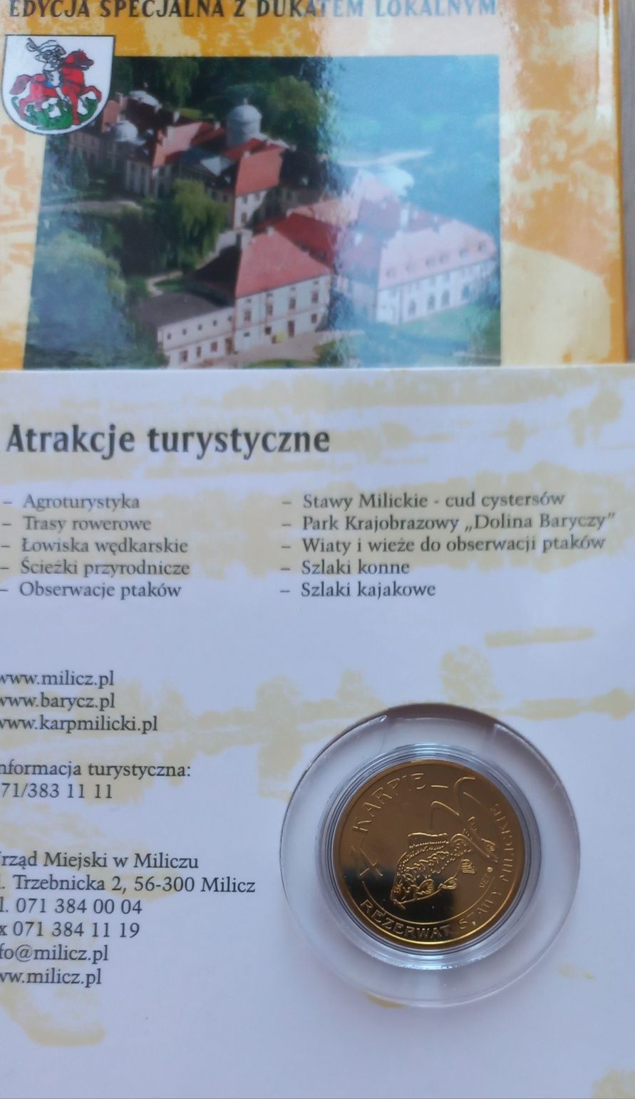 4 karpie milickie 2008 r. Dukat lokalny