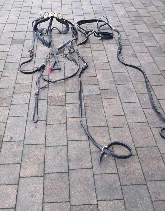 Uprząż konna zaprzęgowa