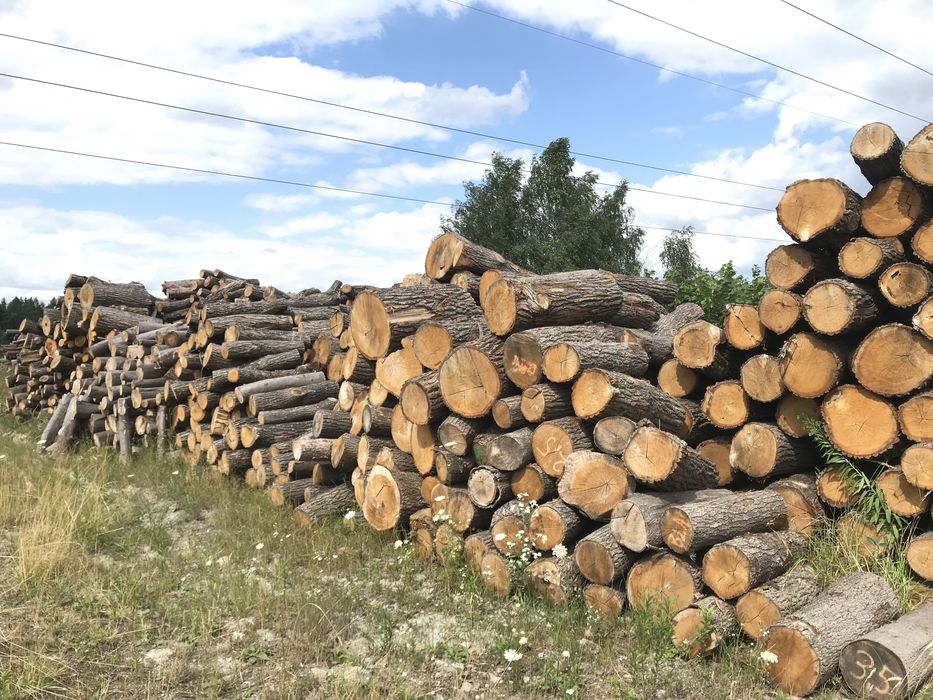 Drewno opałowe (opał) suche