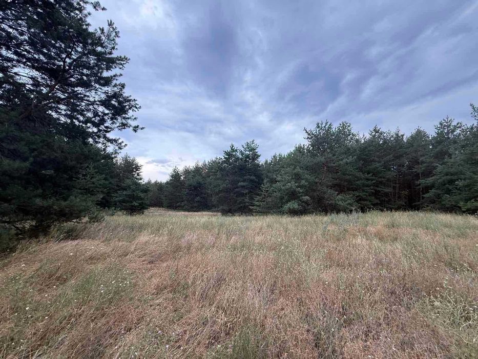 Продам дві ділянки у лісі з виходом до р.Орель, Царичанський район.