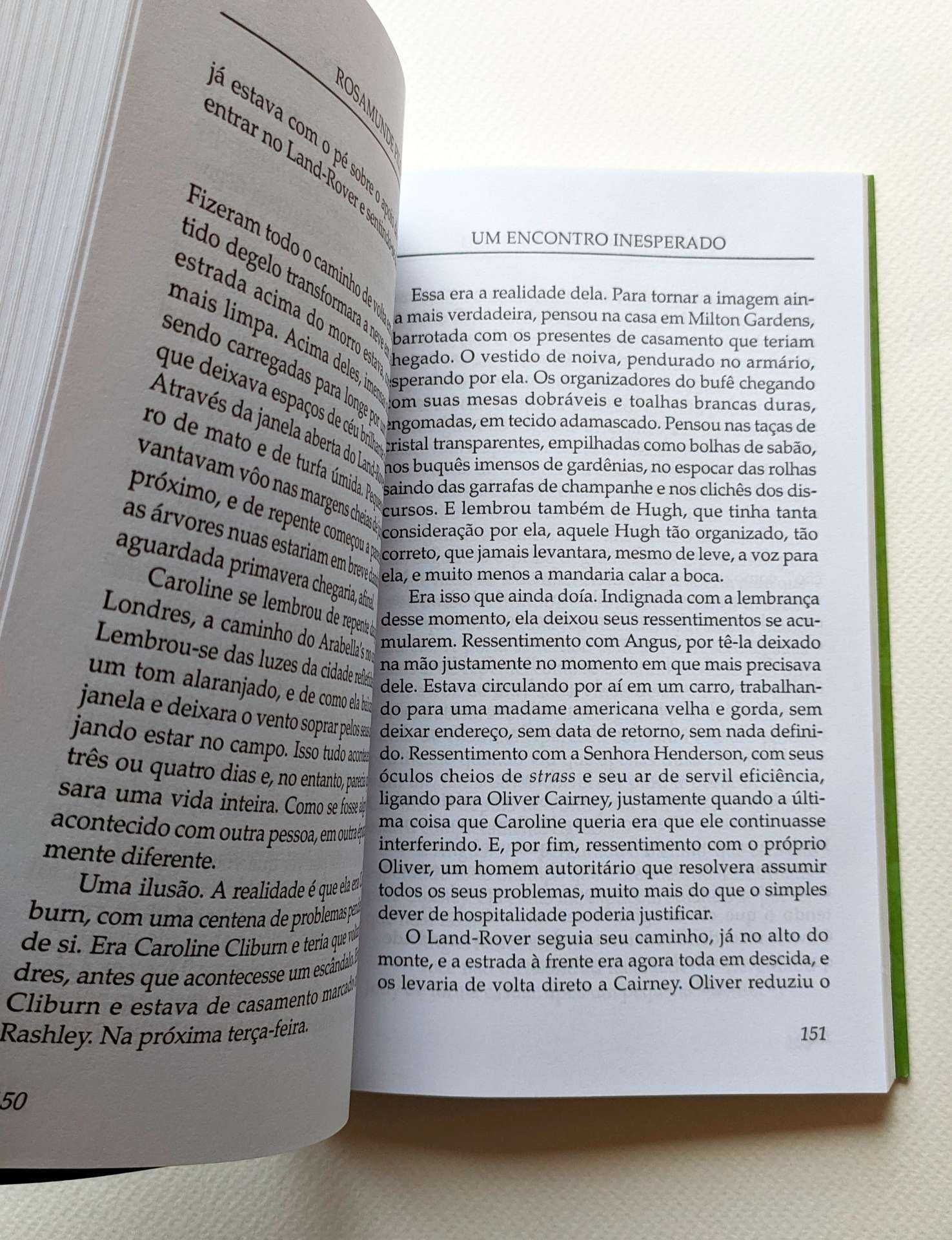 Um Encontro Inesperado - Rosamunde Pilcher (livro)