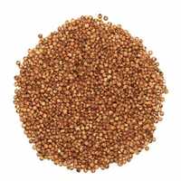 sorgo czerwone czyszczone 25kg karma dla gołębi