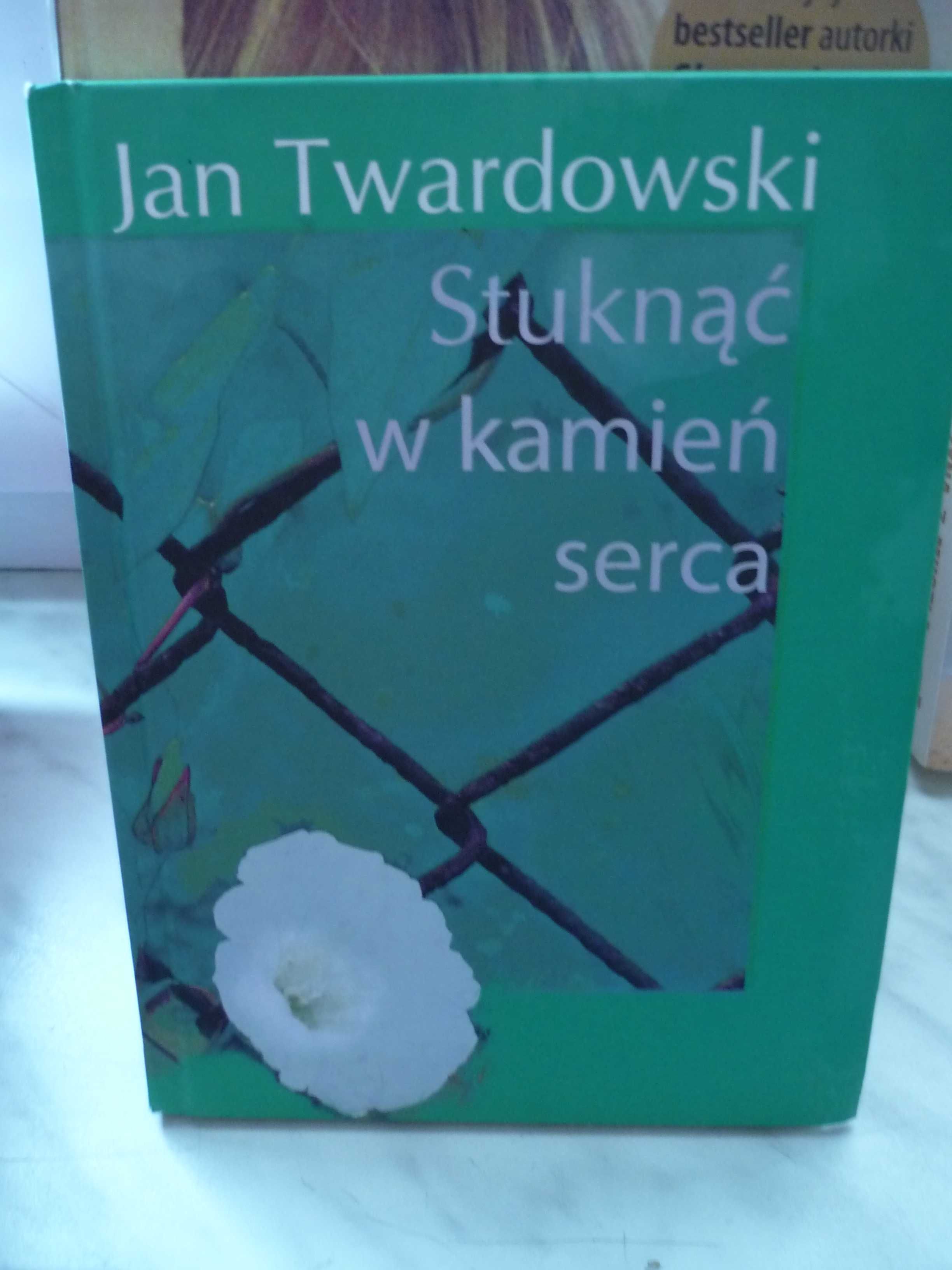 Stuknąć w kamień serca , Jan Twardowski.