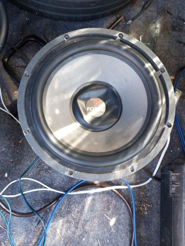 Subwoofer Focal 800w