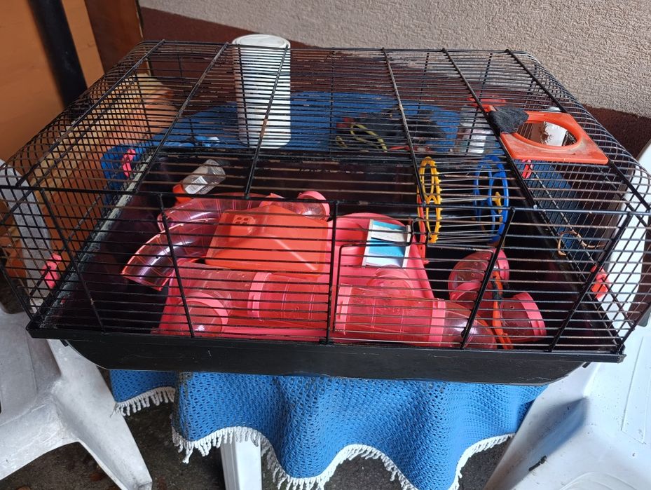 Klatka dla chomika duza