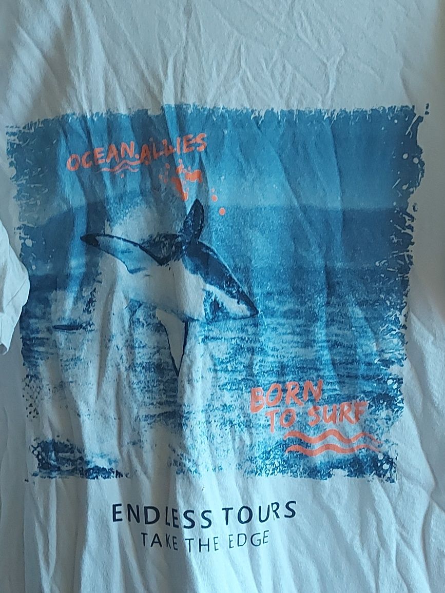 T-shirt dziecięcy rozmiar 158/164 firma Destination