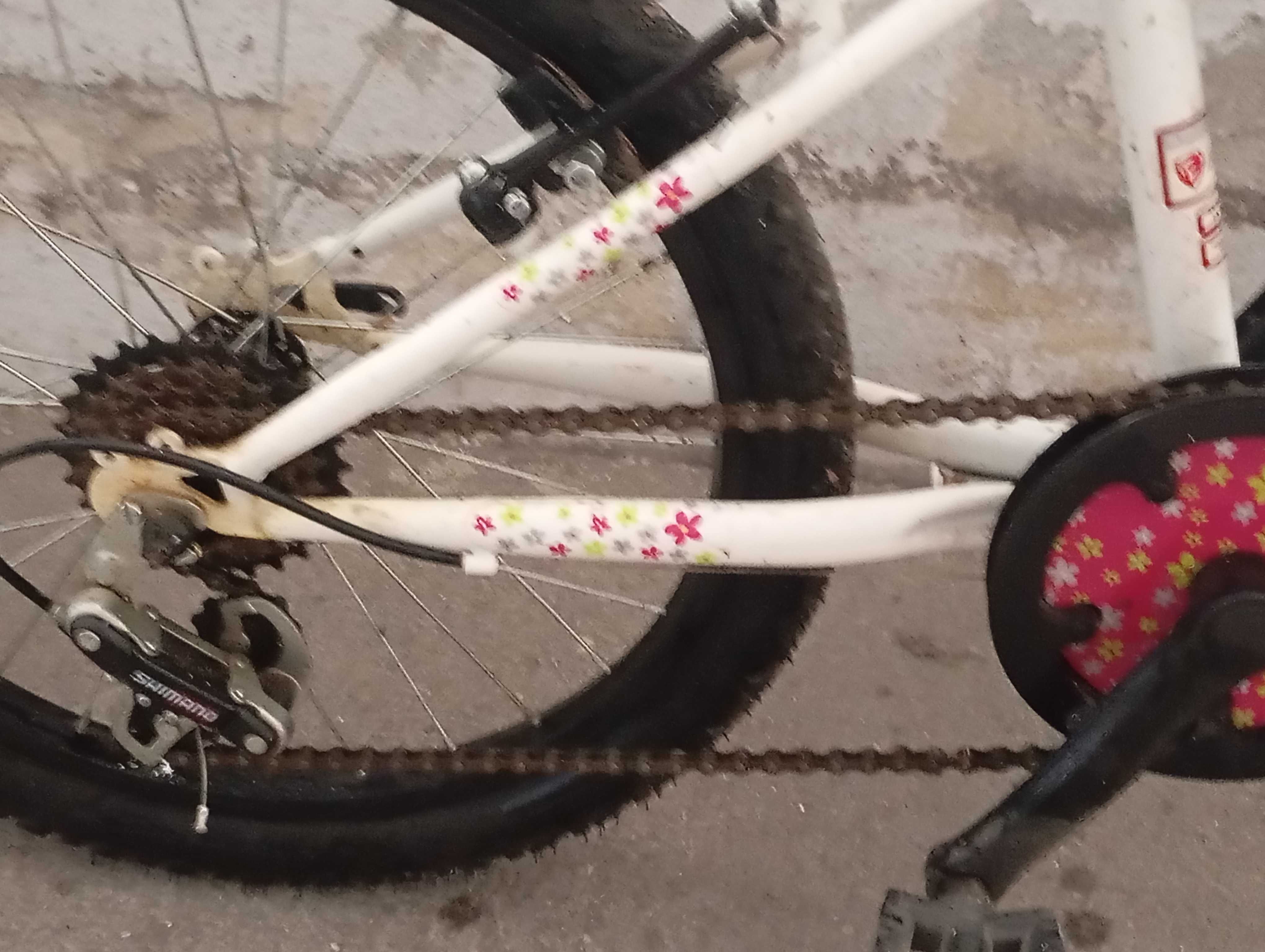 Bicicleta de menina.
