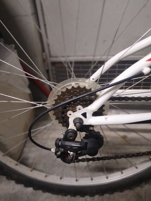 Bicicleta World Bike Tour CTT