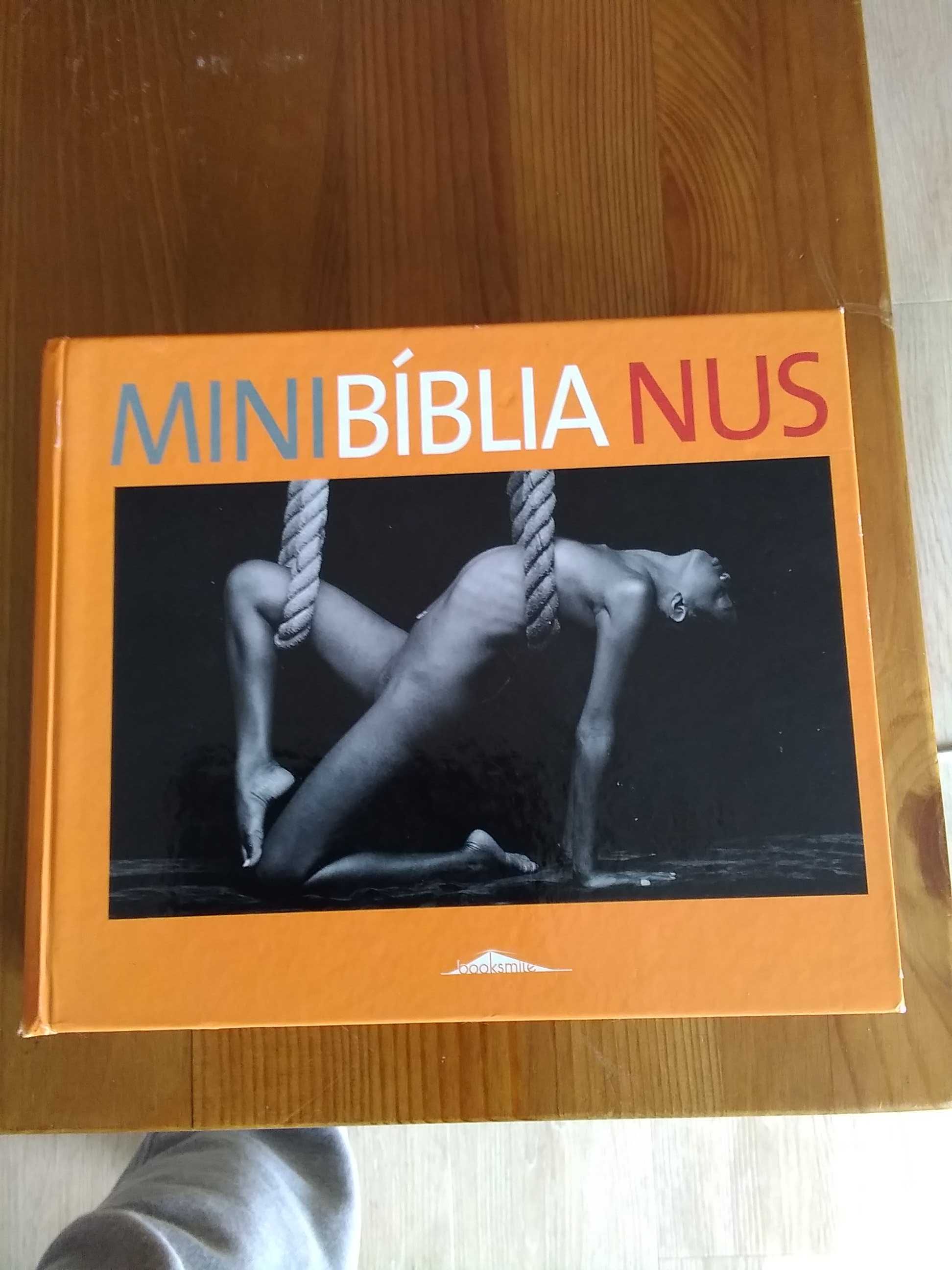 Mini Bíblia nus (Oferta do envio editorial )