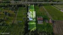 Terreno plano em Taveiro