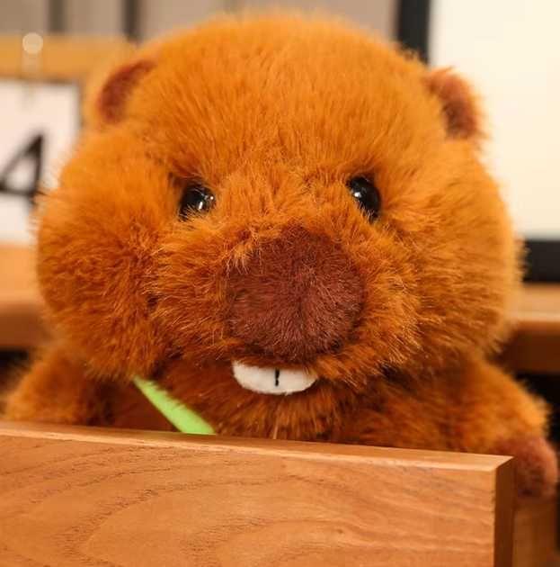 Мягкая Игрушка-подушка бобер с пледом внутри (50 см)