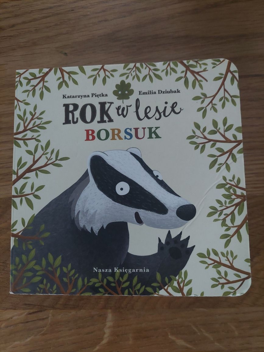 Rok w lesie Borsuk