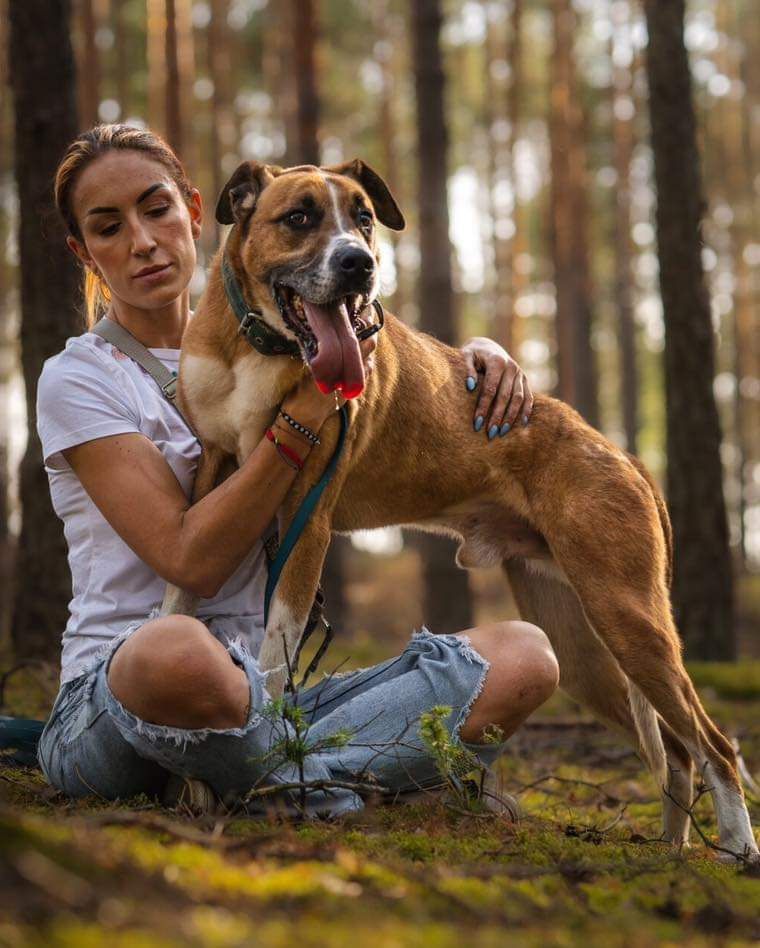 Scooby szuka domu