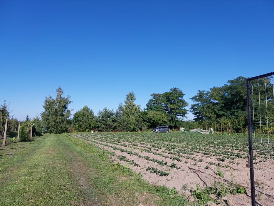 Działka usługowo - budowlana