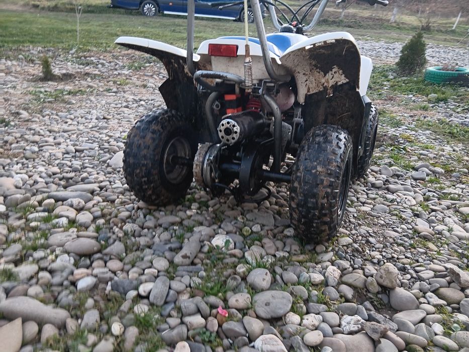 Детьський 50 кубовий квадрик