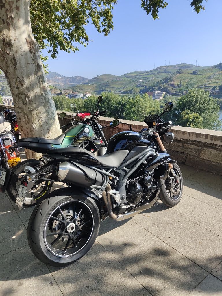 Triumph Speed Triple 1050 94