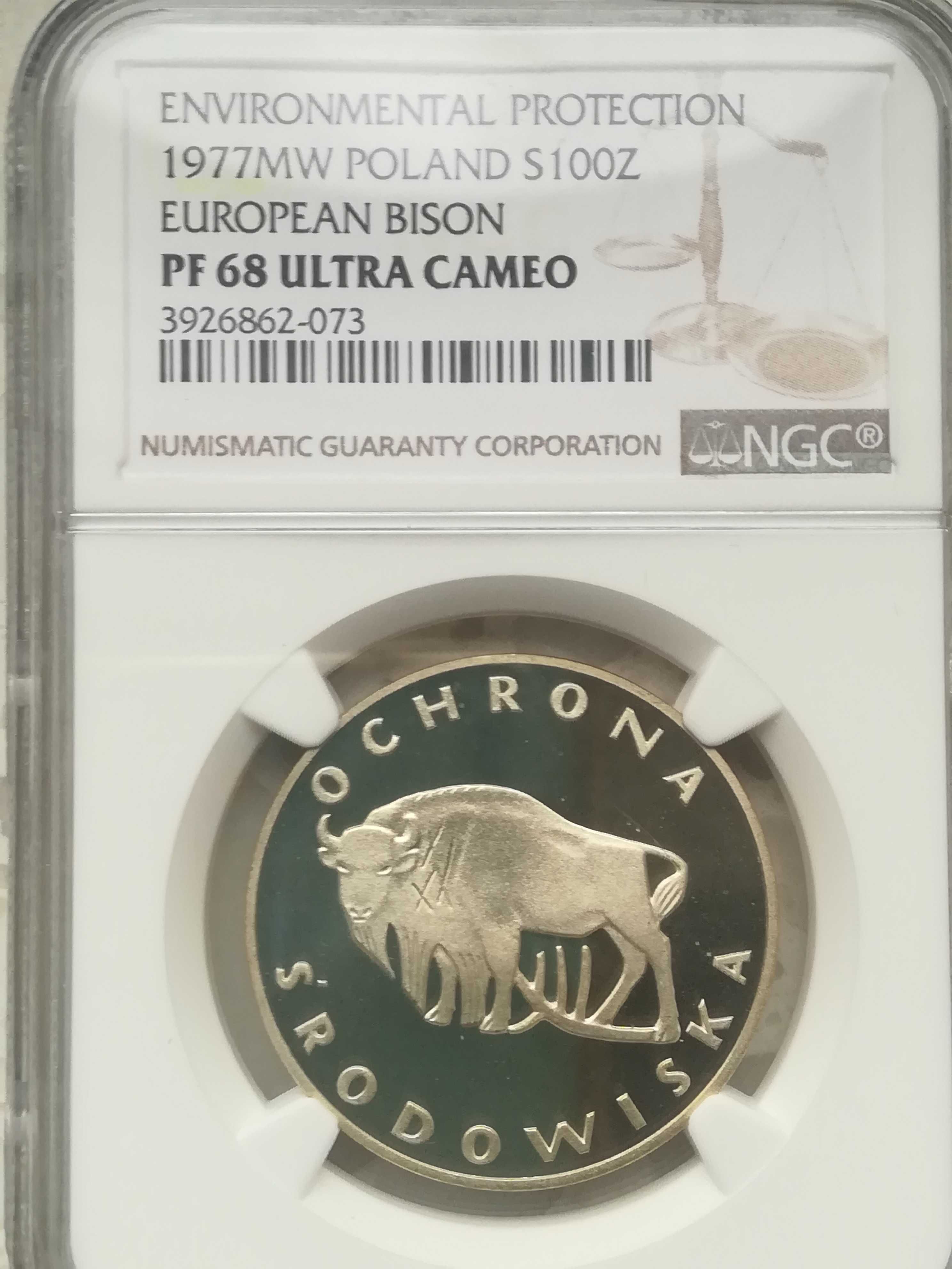 Żubr 100 zł 1977 NGC PF68 Ochrona Środowiska