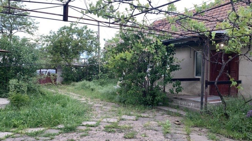 Продажа жома в Великой Балке