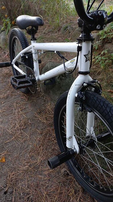 Rower Młodzieżowy Bmx Fishbone P1000 do Skakania Rotor 360 4 Pegi 20