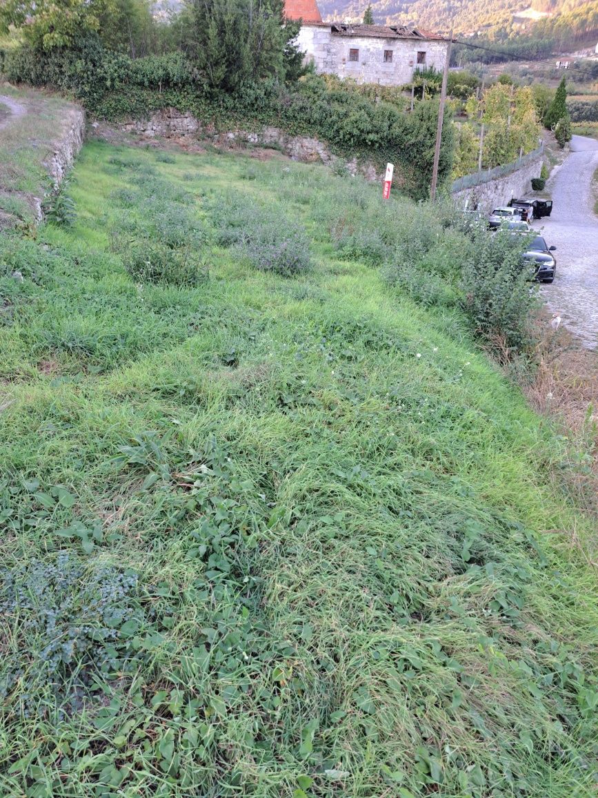 Terreno em Vale de Bouro, Celorico de Basto