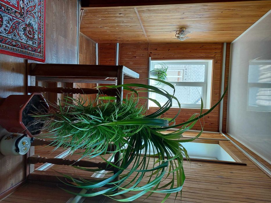 Продам шикарный 2-х этажный дом в живописном месте