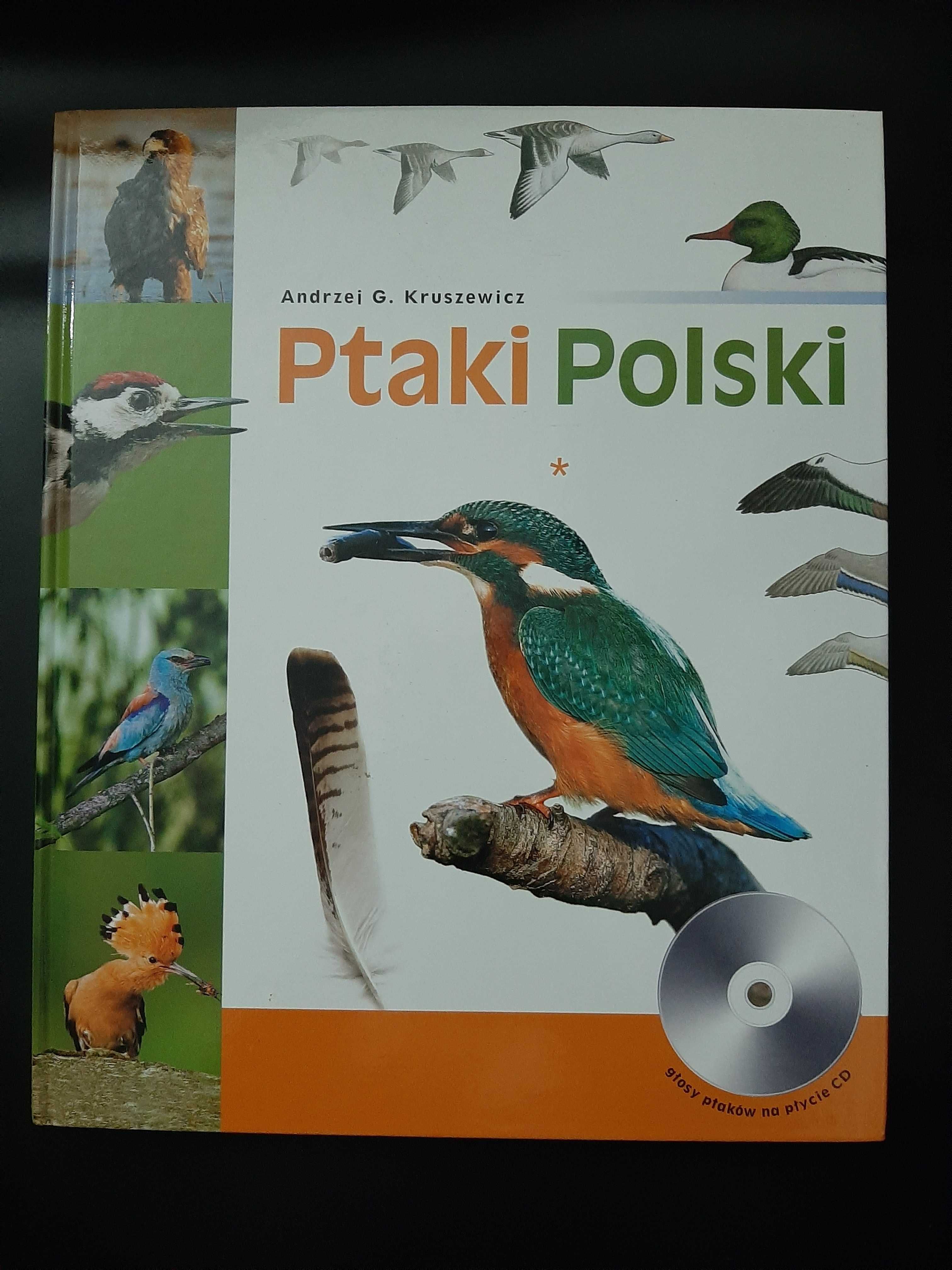 Ptaki Polski Andrzej Kruszewicz T1 + CD
