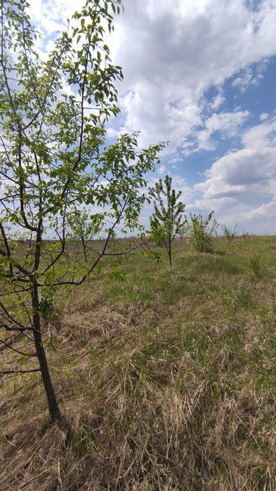 Продаж земельної ділянки с.Красне Обухівського р-ну 12+6 соток