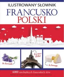 Ilustrowany słownik francusko - polski - Tadeusz Woźniak