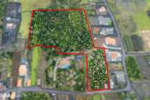 Terreno Urbano - Criação Velha, Pico
