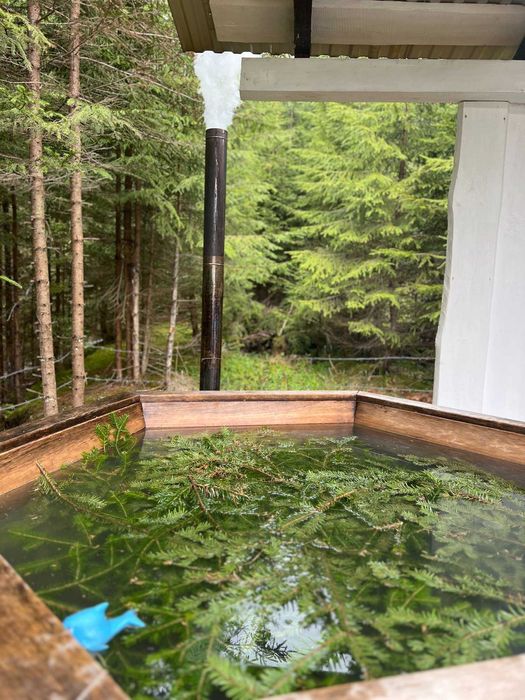 Будинок Ніч в Карпатах