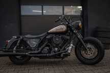 Harley-Davidson Custom, Evo, Indian, Electra, King