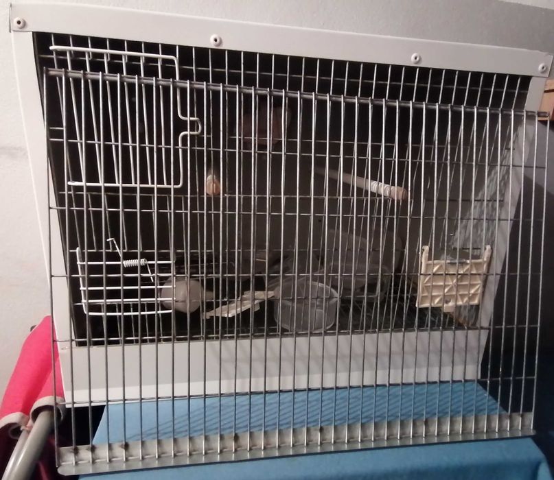 Gaiola/Viveiro em chapa metálica