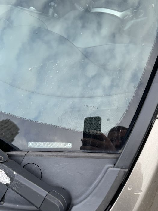 Живий сівік. Друга машина в сімї  їздила дівчина.