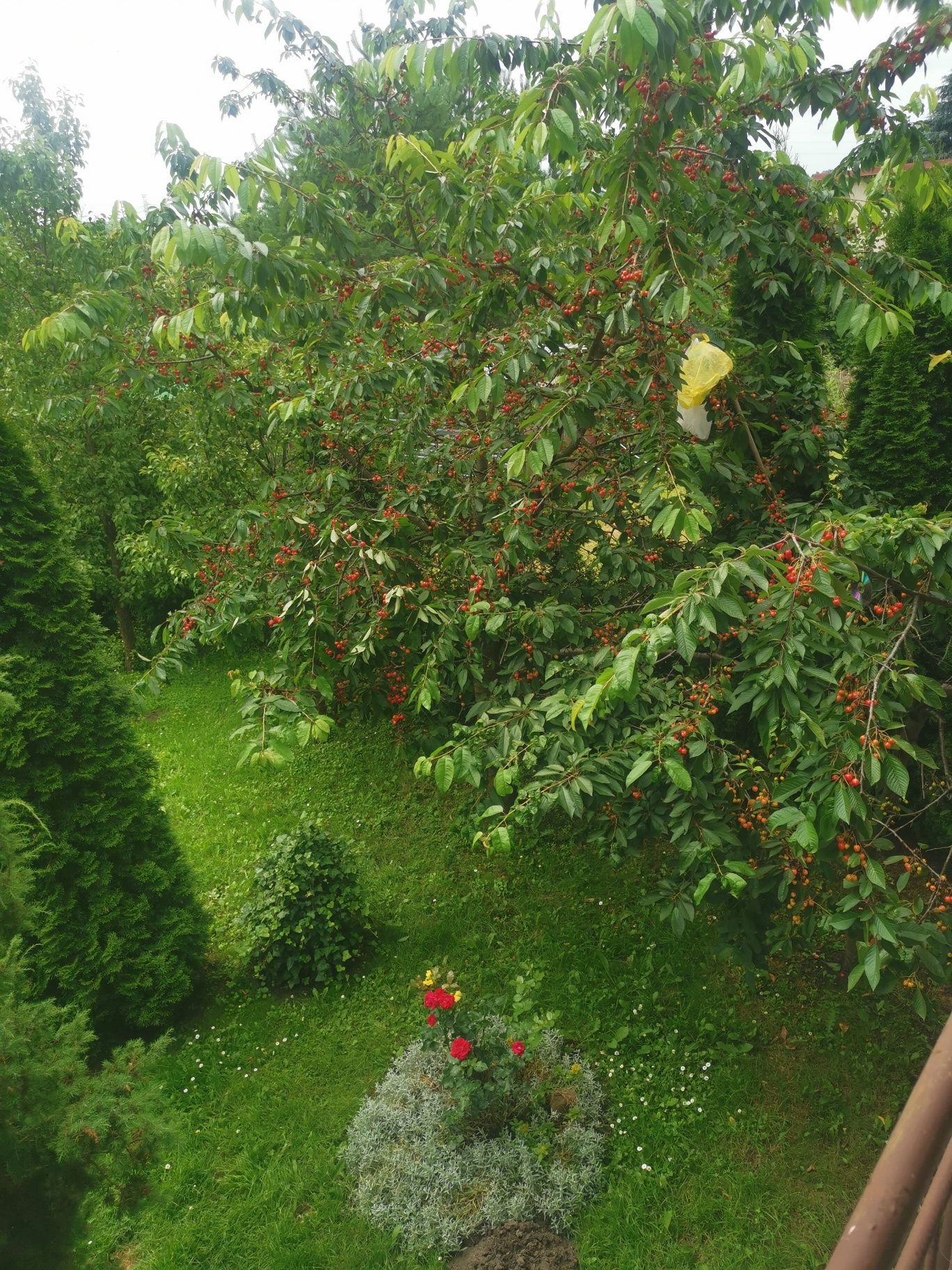 sprzedam dom / budynki  w świetnej lokalizacji Kotuń