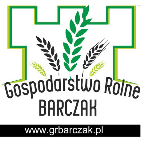 Kwalifikowany materiał siewny pszenica ozima Bataja C/1 kwalifikat