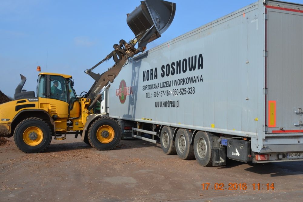 KOR-DREW Kora sosnowa sortowana Wrocław okolice transport gratis 80L
