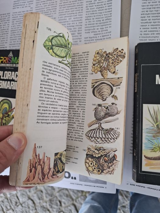 Livros Prisma o Conhecimento em Cores