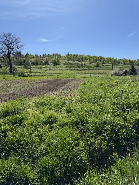 Продається земельна ділянка в горах, 1 км від Східниці