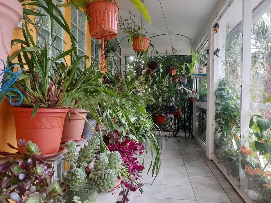 Vivenda Quinta Botânica - área 6000m2