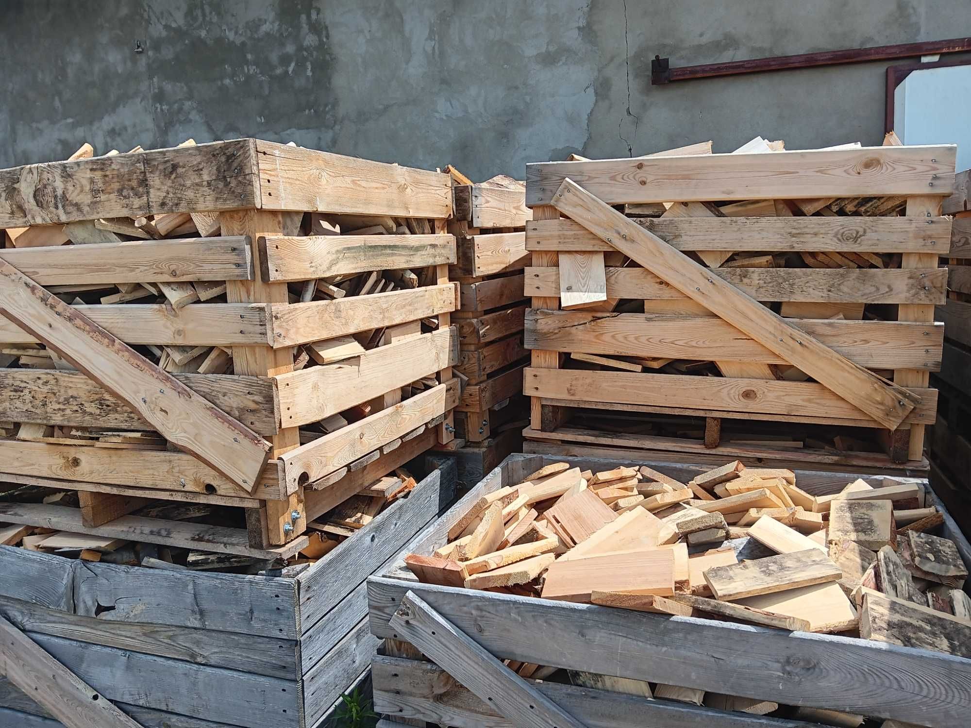 Sosna swierk suchutka do palenia możliwy transport