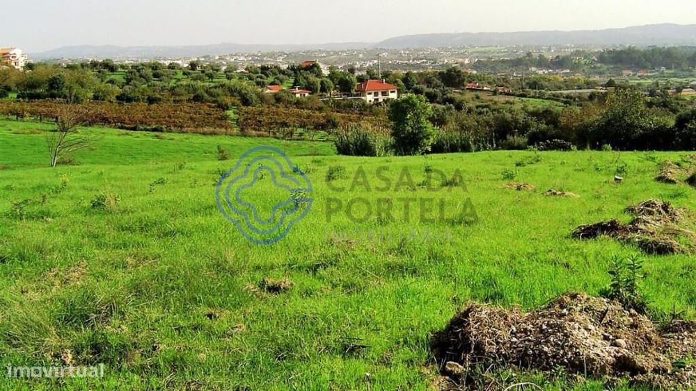 Terreno para construção junto da cidade de Tomar no Centro de Portugal