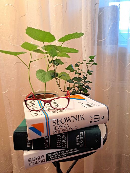 korepetycje  z języka polskiego   1. lekcja gratis!