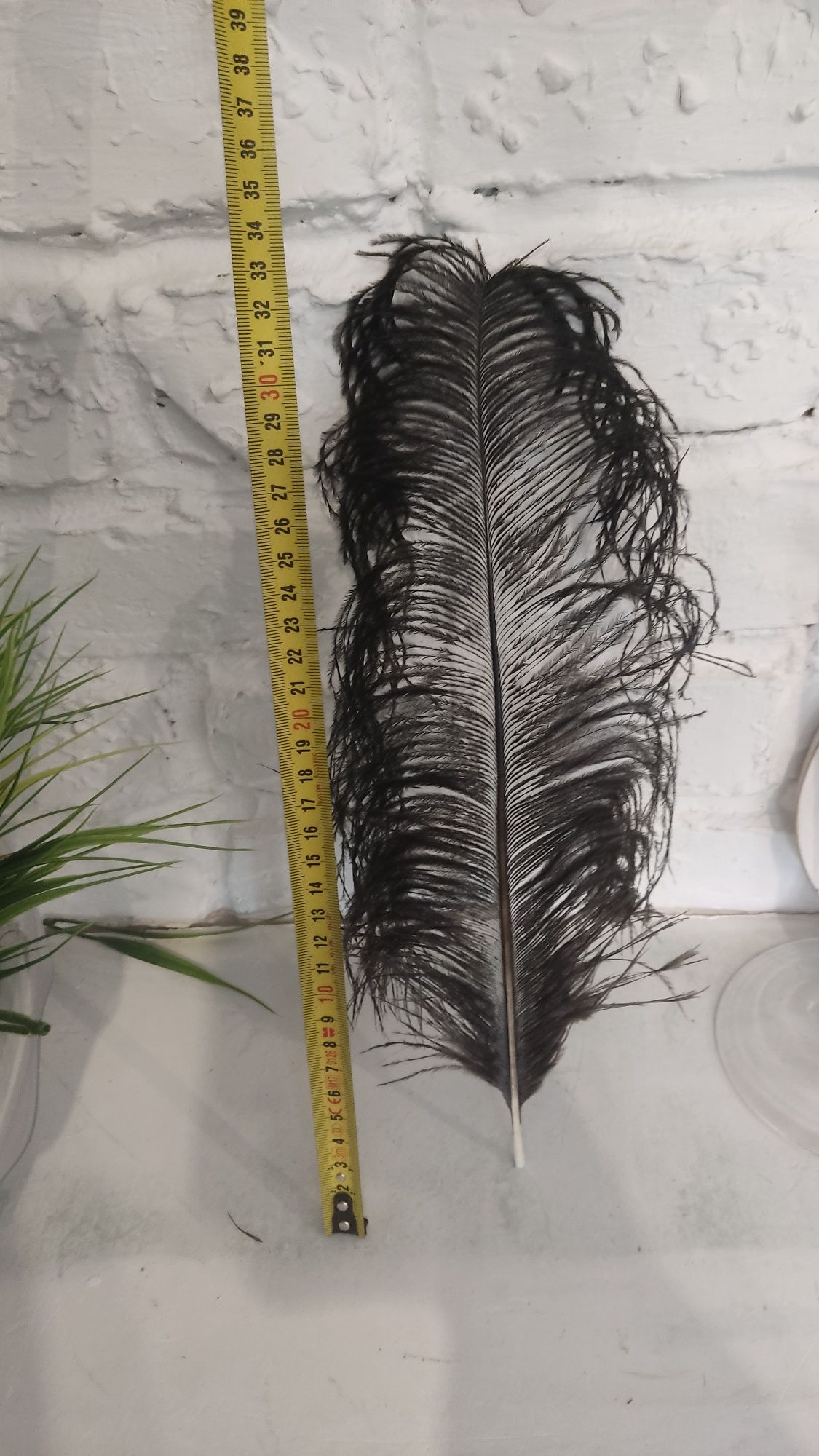 Strusie pióra 35-40cm, czarne,, 35 szt.