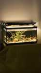 Aquario 70 l Oscar