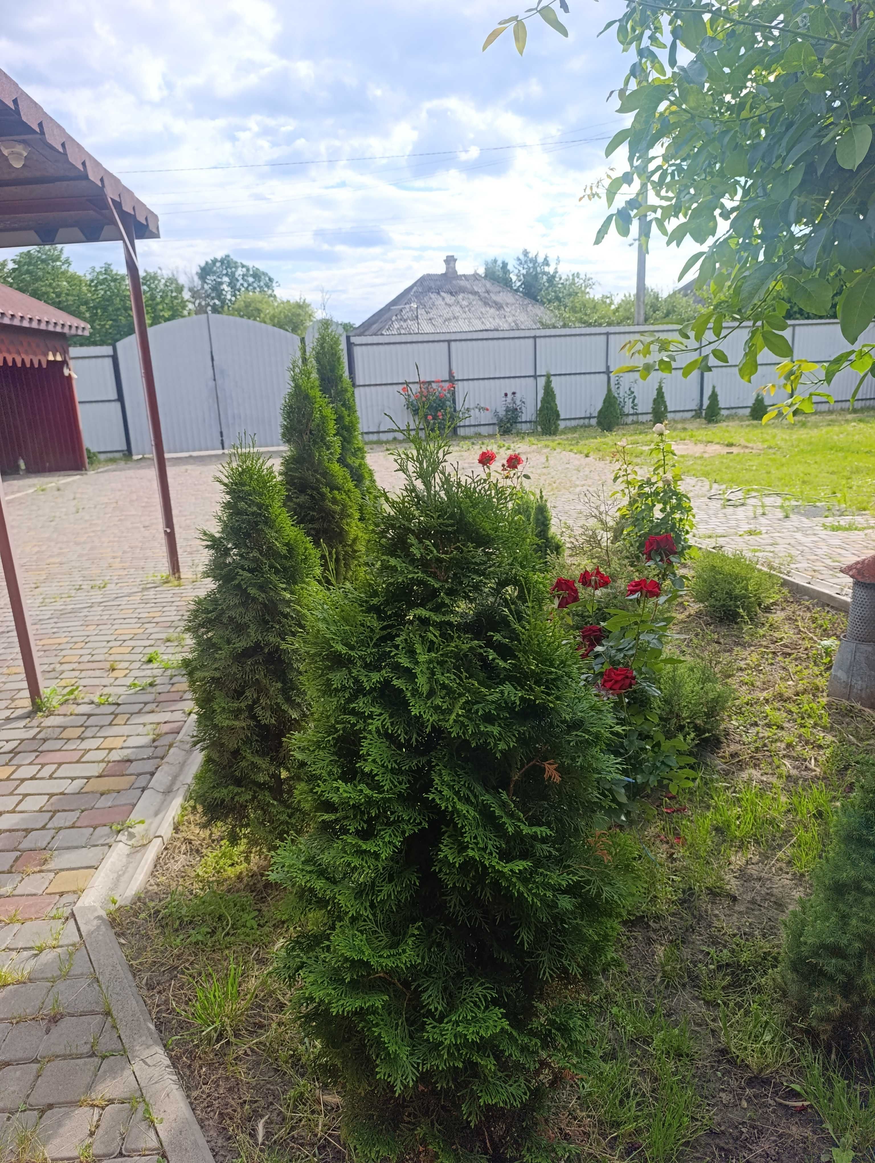 Продаж будинку в м.Золотоноша