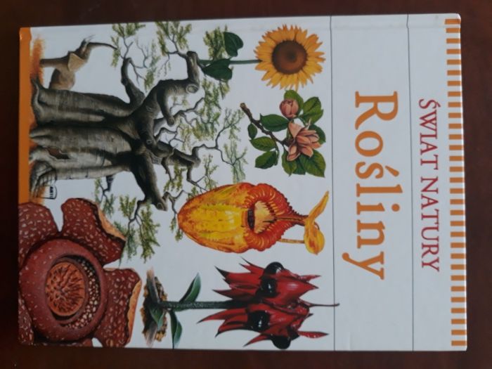 Rośliny Świat natury