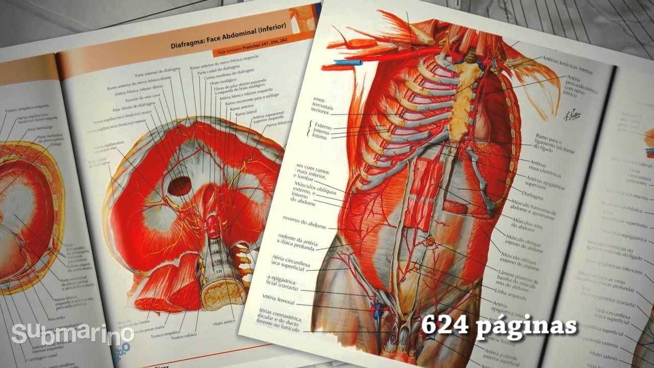 Atlas de Anatomia Humana, Saúde